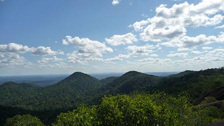 Vue sur les Nouragues depuis l'inselberg