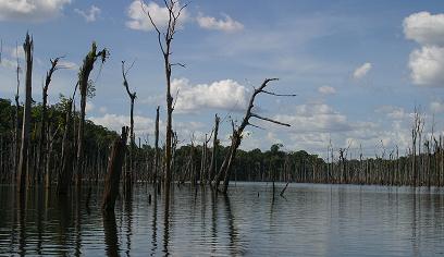 Lac Petit Saut/DEAL Guyane