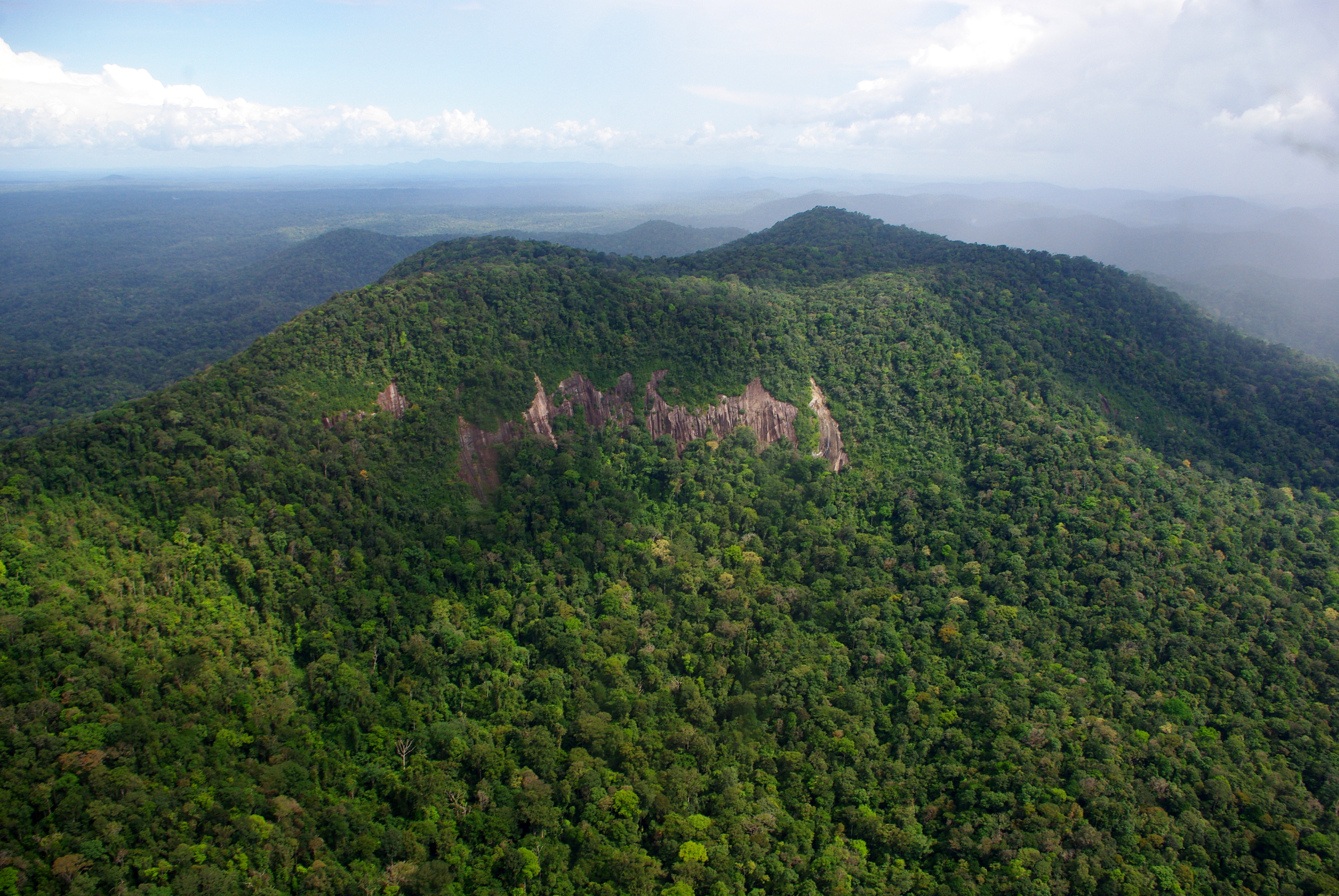 Forêt des hauts reliefs - DEAL