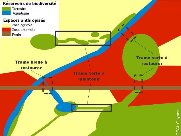 La trame verte et bleue en schéma