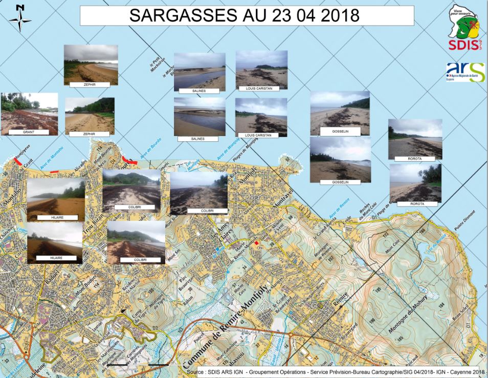  localisation des sargasses sur les plages