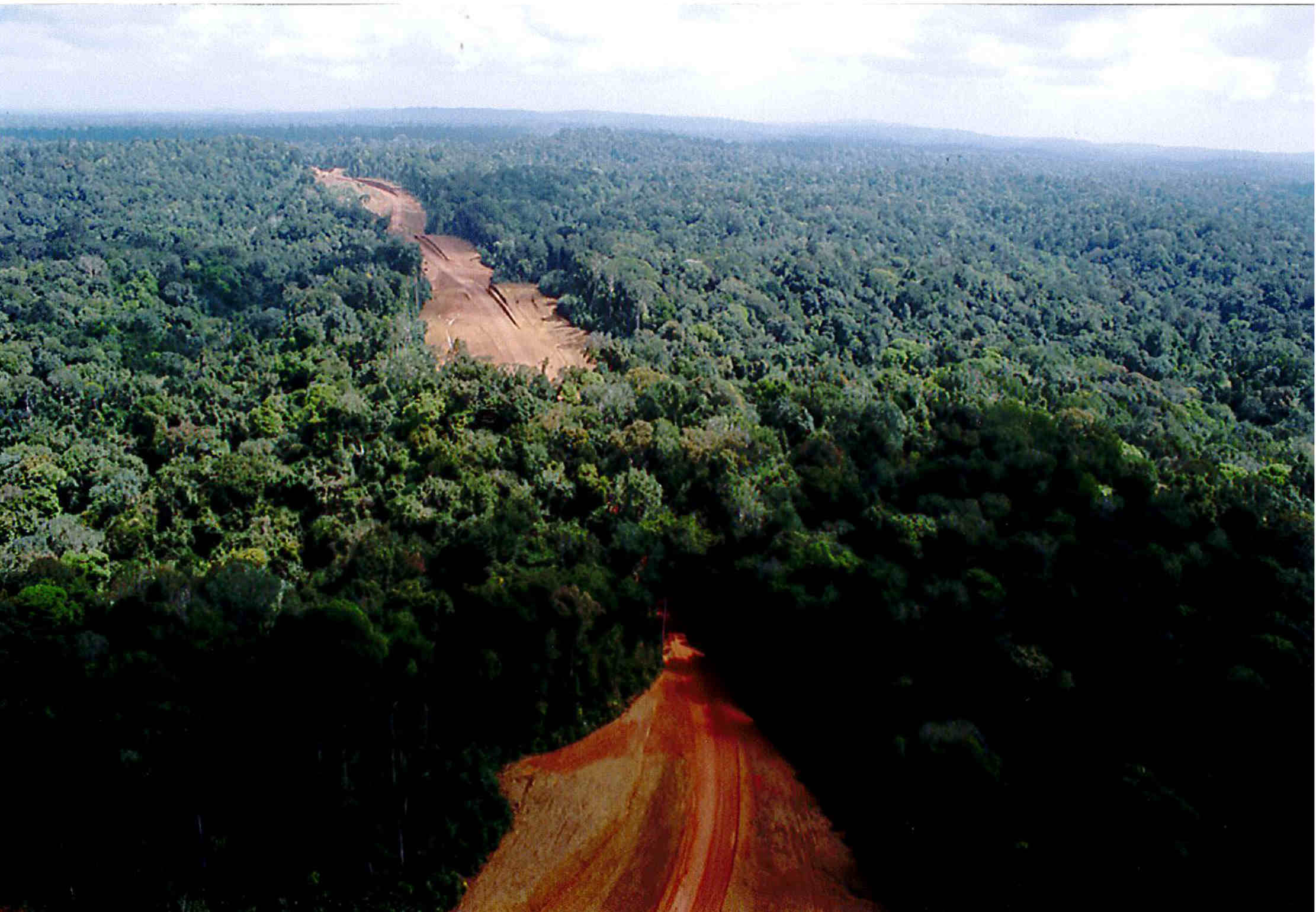Corridor forestier conservé lors de la création de la RN2