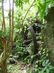 credit DGTM_Guyane_Leduc