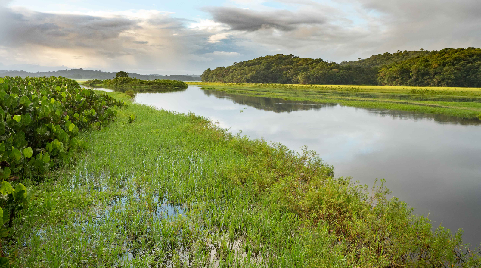 Rivière de Kaw, Florent Pouzet/CEN Guyane